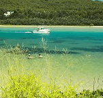 Wooli Camping and Caravan Park - Australian Destinations