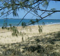 Seawinds Caravan Park - Australian Destinations 1