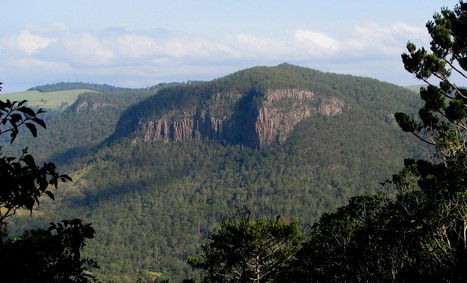 Arborlee Rainforest Retreat - Australian Destinations 3