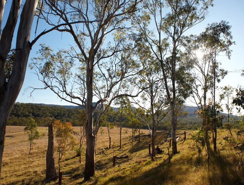 Spicers Canopy - Australian Destinations 4
