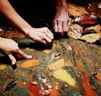 Daintree Eco Lodge And Spa - Australian Destinations