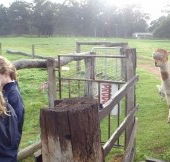 Boronia Farm Farmstay - Australian Destinations