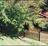 Apple Tree Cottage - Australian Destinations