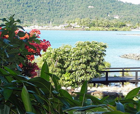 Airlie Waterfront Bed And Breakfast - Australian Destinations 1