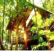 The Canopy Treehouses - Australian Destinations