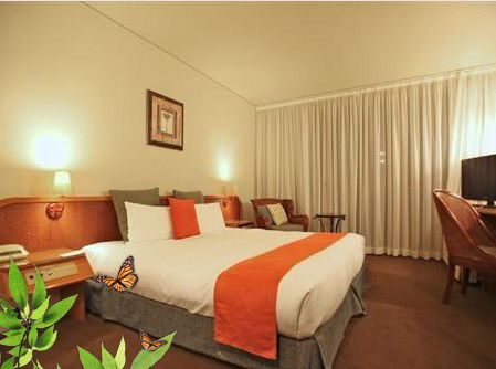 Absolute Beachfront Novotel Pacific Bay - Australian Destinations 1