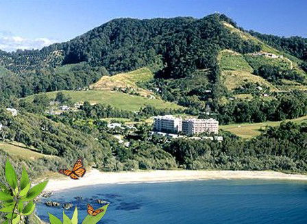 Absolute Beachfront Novotel Pacific Bay - Australian Destinations 3