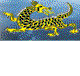 Dragon Phoenix Motel amp Restuarant