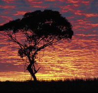 Kimba Caravan Park amp Motel - Australian Destinations