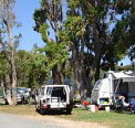 Elliston Caravan Park - Australian Destinations