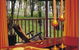 Eaglereach Wilderness Resort - thumb 0