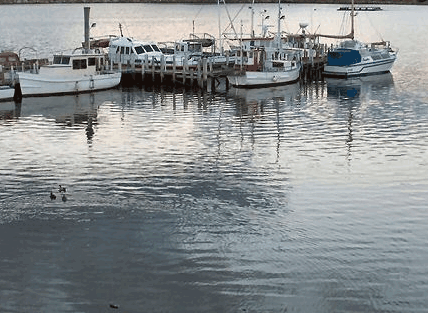 Hobart Apartments - Australian Destinations 1