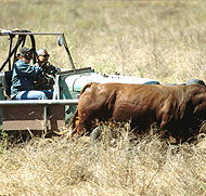 Bullo River Station - Australian Destinations