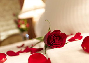 Springs Creek - Australian Destinations 2