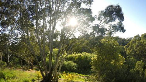 Springs Creek - Australian Destinations 4