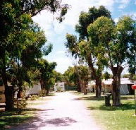 Bathers Paradise Caravan Park - Australian Destinations