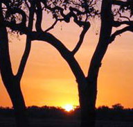 Coodardie Station Stay - Australian Destinations