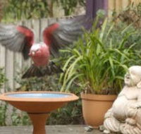 Wattle Court  Retreat - Australian Destinations