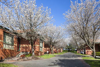 Apartments @ Mt Waverley - Australian Destinations 26