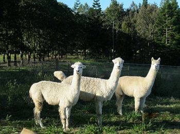 Beerwah QLD Australian Destinations