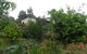 Australian Home Away @ Wonga Park Brushy Creek - thumb 14