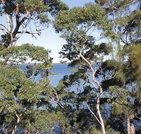 The Edgewater Bed amp Breakfast - Australian Destinations
