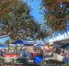 Alex Beach Cabins - Australian Destinations