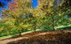 Avoca Valley Bed & Breakfast - thumb 14