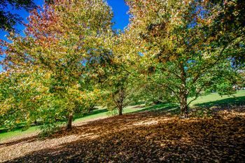 Avoca Valley Bed & Breakfast - Australian Destinations 14