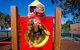 Ingenia Holidays Sydney Hills - thumb 10