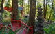 Mt Dandenong Imperial Retreat - thumb 6