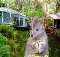 Huon Bush Retreats - Australian Destinations