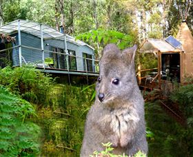 Huon Bush Retreats - Australian Destinations 0