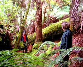 Huon Bush Retreats - Australian Destinations 3