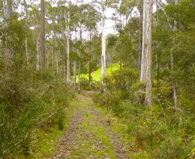 Huon Valley Eco Wilderness Retreat - Australian Destinations 5