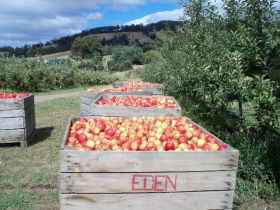 Eden Orchard And Farmstay - Australian Destinations 1