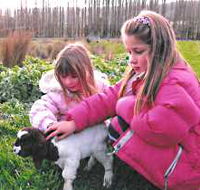 Huon Valley Caravan Park - Australian Destinations