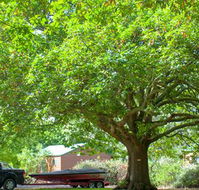 Lakes and Craters Holiday Park - Australian Destinations