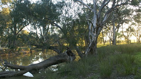 Numurkah Caravan Park - Australian Destinations 5