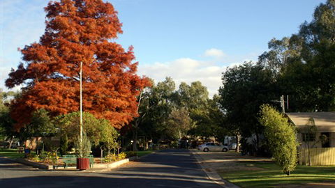 Numurkah Caravan Park - Australian Destinations 6