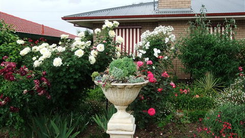 Admurraya House Bed And Breakfast - Australian Destinations 5