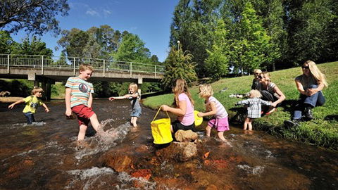 NRMA Bright Holiday Park - Australian Destinations 3