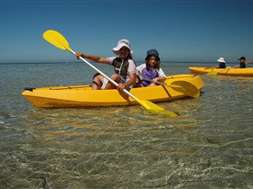 Ceduna Shelly Beach Caravan Park And Beachfront Villas - Australian Destinations 3