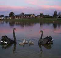 Mansfield Holiday Park - Australian Destinations