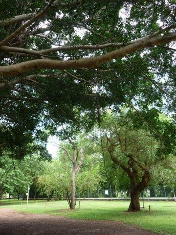 Discovery Holiday Parks - Darwin - Australian Destinations 10
