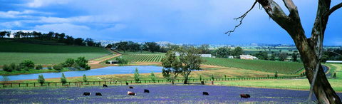 The Falls Retreat - Australian Destinations 8