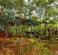 Arnhemland Barramundi Nature Lodge - Australian Destinations