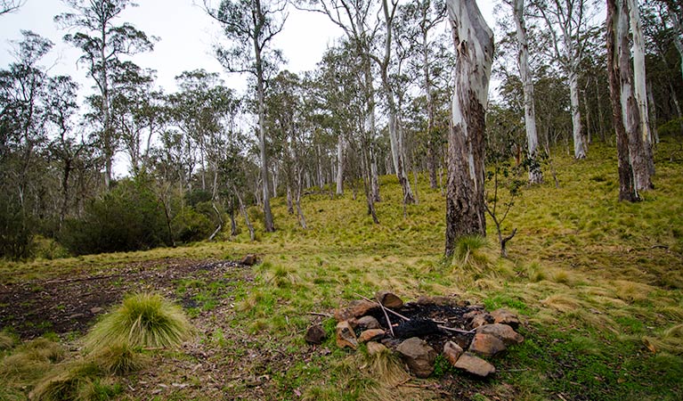 Tomalla NSW Australian Destinations