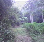 Macas Camping Ground - Australian Destinations