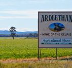The Ardlethan Kelpie Caravan Park - Australian Destinations